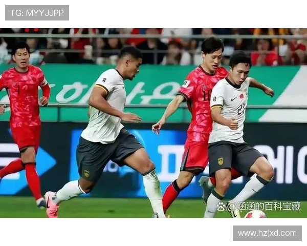 2026年世界杯最新对阵图揭晓 各大强队备战之路引发热议